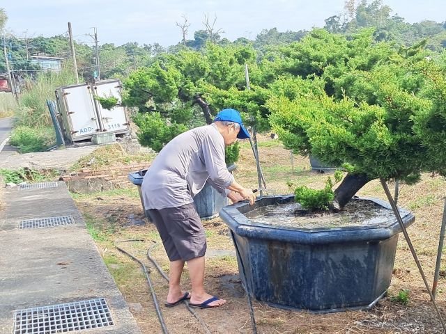 照顧環境與植栽 30