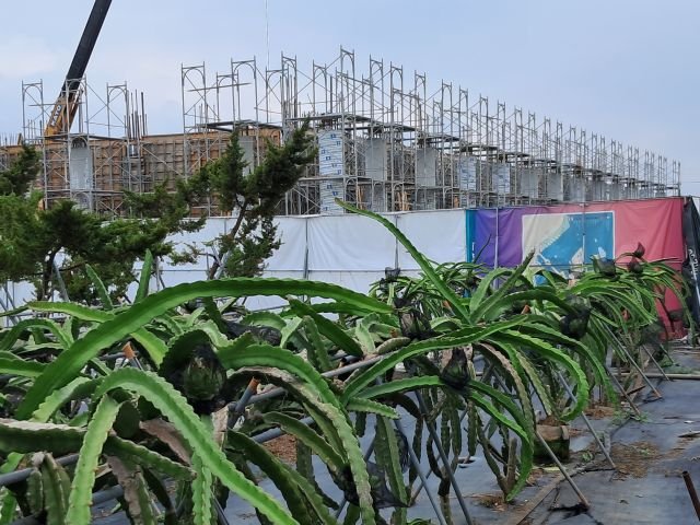 照顧環境與植栽 5