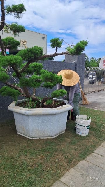 照顧環境與植栽 31