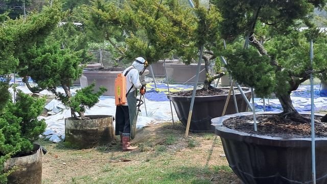照顧環境與植栽 37