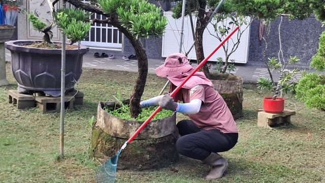 照顧環境與植栽 32