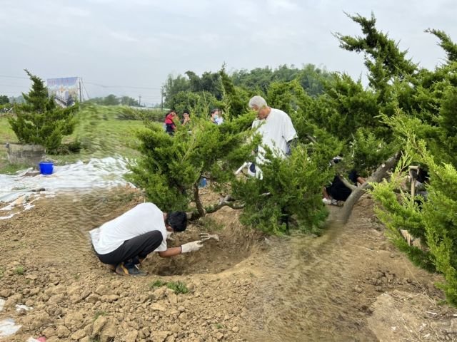照顧環境與植栽 23